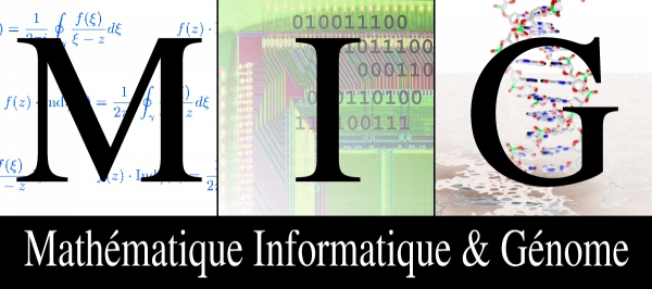 Logo MIG
