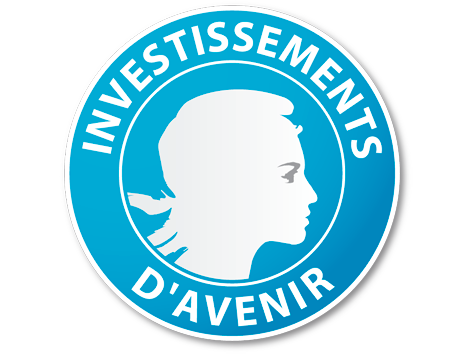 Logo Investissements d'avenir